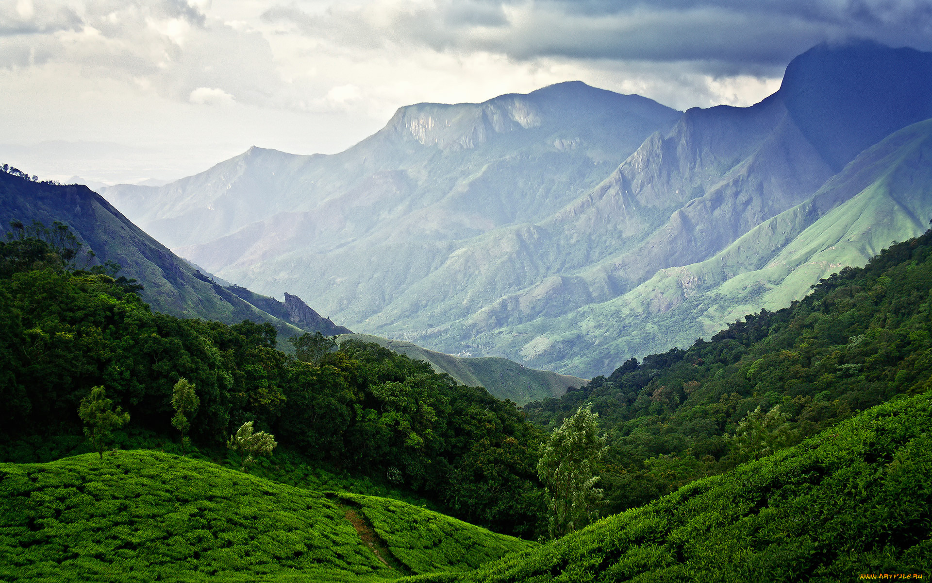 Равнины гималаи. Муннар Керала Индия. Западные Гаты Керала. Долина Катманду Гималаи. Керала чайные плантации.